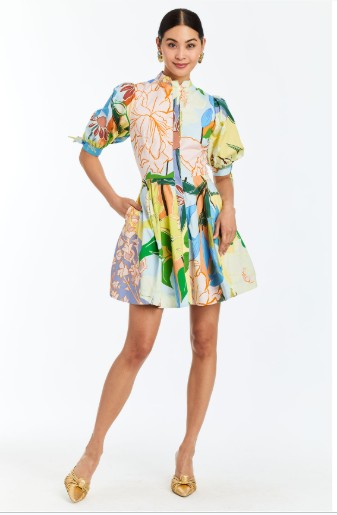 Brooklyn Mini Dress 2 / Primrose Florals