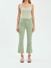 DAZE SHY GIRL RAW CUT