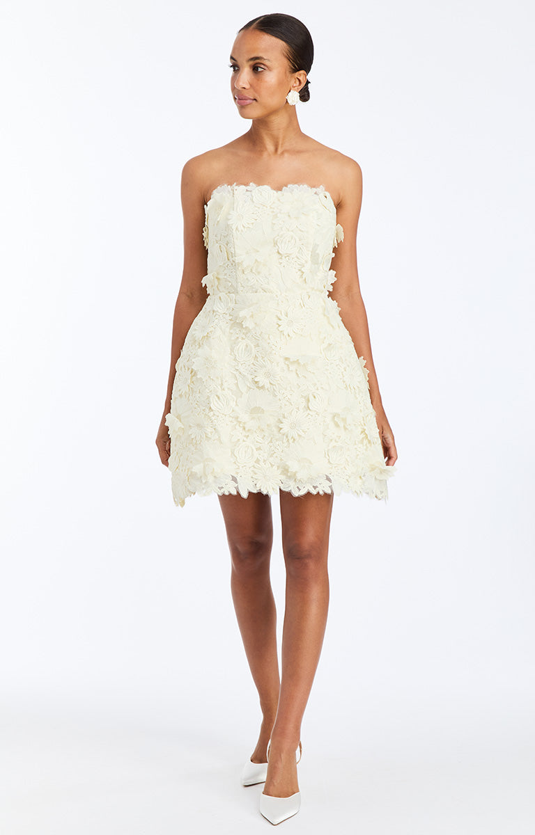 MESTIZA DOTTICE LACE MINI DRESS