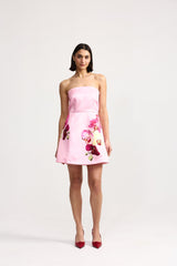 ASTON STUDIO BEATRIX MINI DRESS