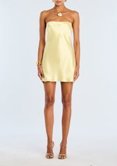 RETROFETE EBBA DRESS